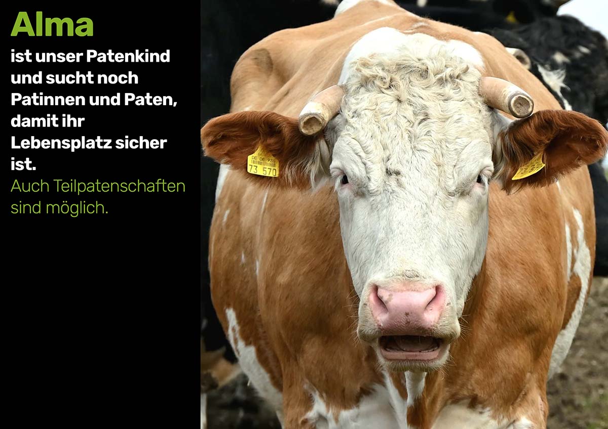 alma-patenkinder-2025